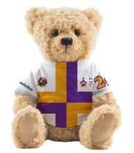 Load image into Gallery viewer, Fleadh Cheoil na hÉireann 2024 Teddy Bear in T-Shirt